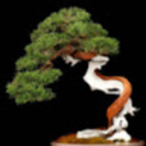 Meet your Posher, Dionne